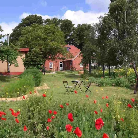 Charming In Stove With Terrace Boiensdorf